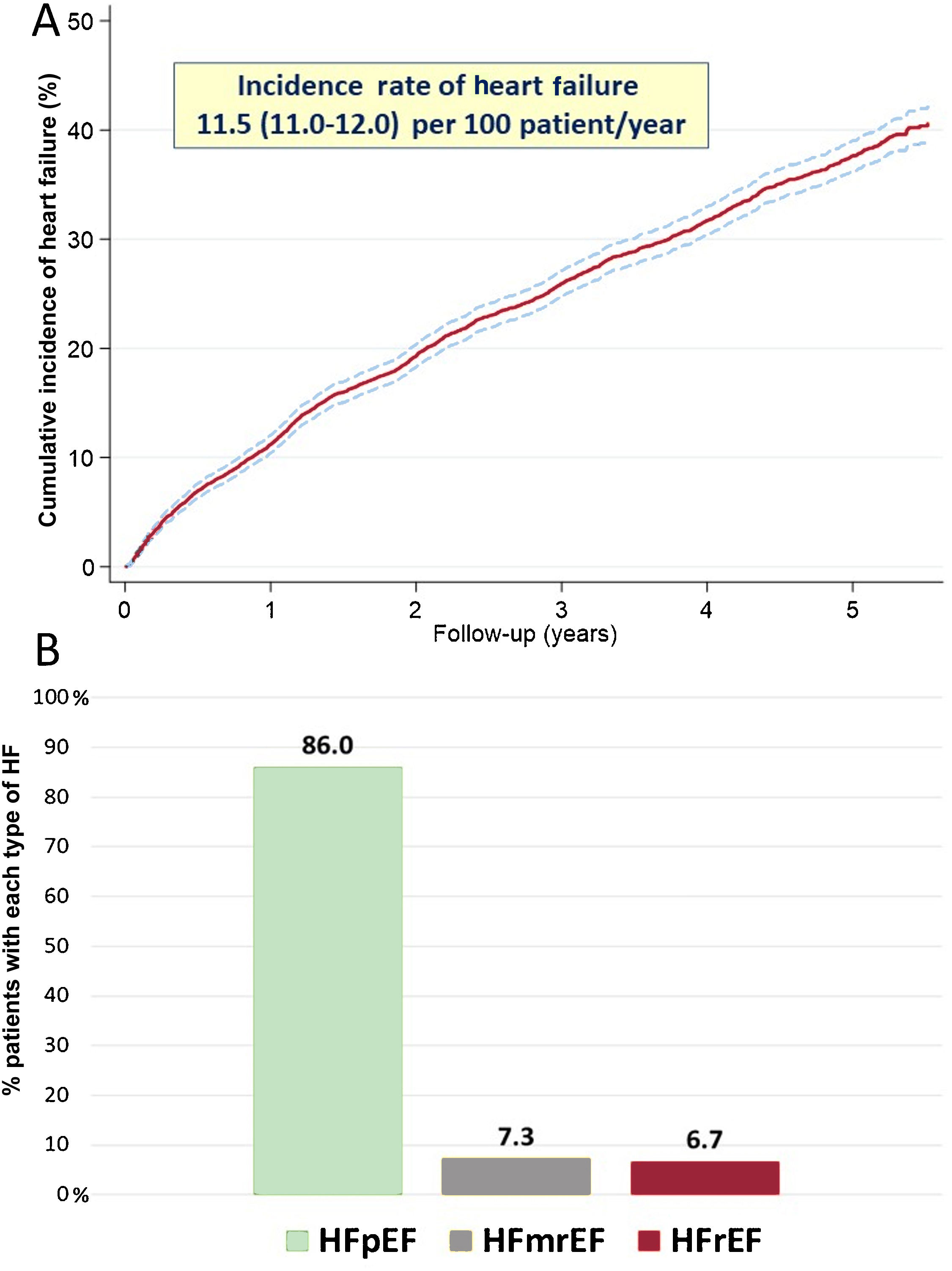 Heart failure in older patients with atrial fibrillation: incidence and ...