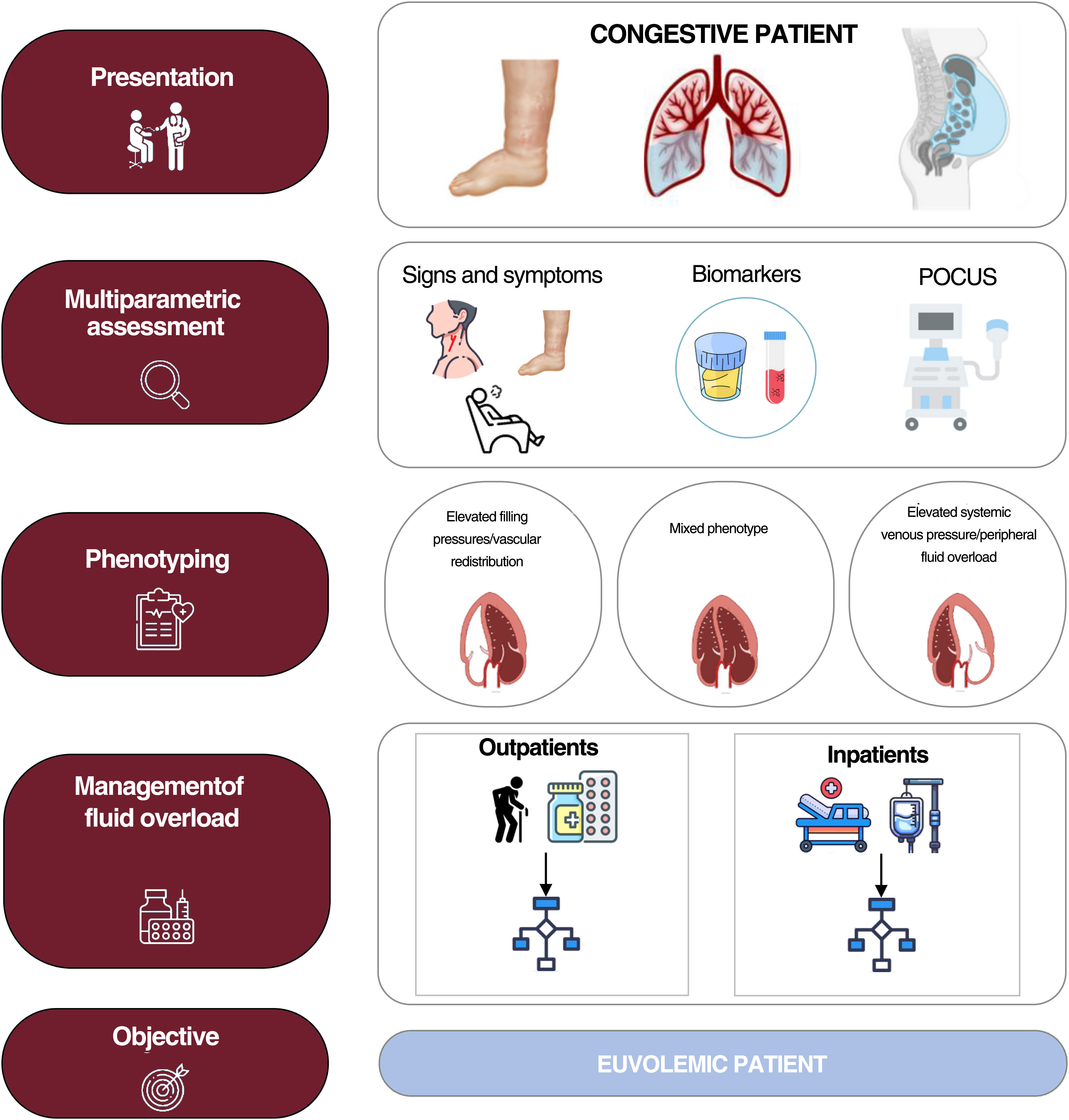 Consensus on the approach to hydrosaline overload in acute heart ...