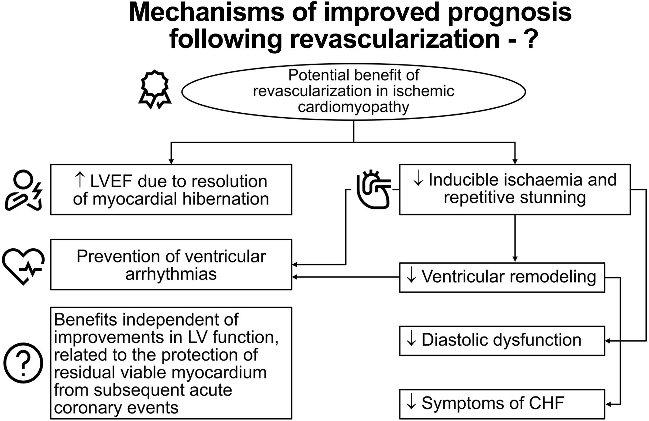Revascularization in ischemic cardiomyopathy. Is viability testing ...
