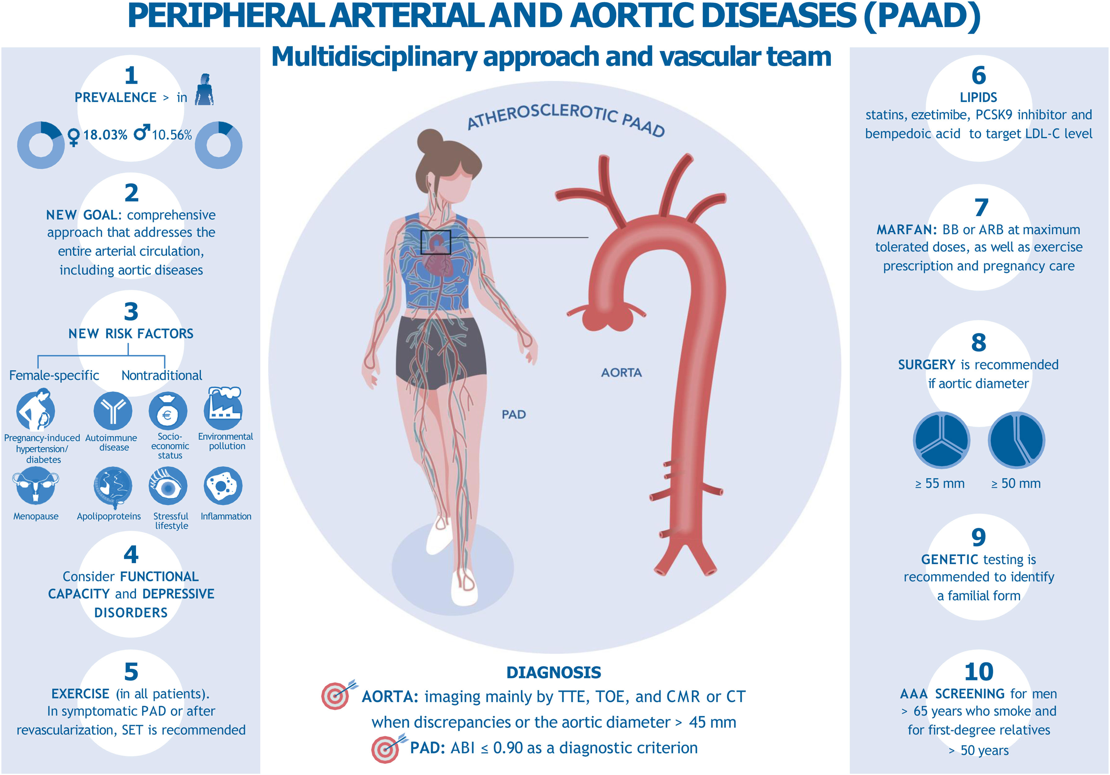 Comments On The 2024 ESC Guidelines For The Management Of Peripheral 