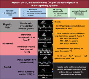 Graphical Abstract Characterization of hepatic, portal, and renal ven...