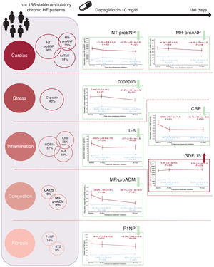 Graphical Abstract Impact of dapagliflozin on key pathophysiological ...