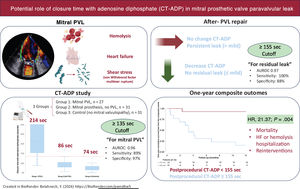 Graphical Abstract Potential role of closure time with adenosine diph...