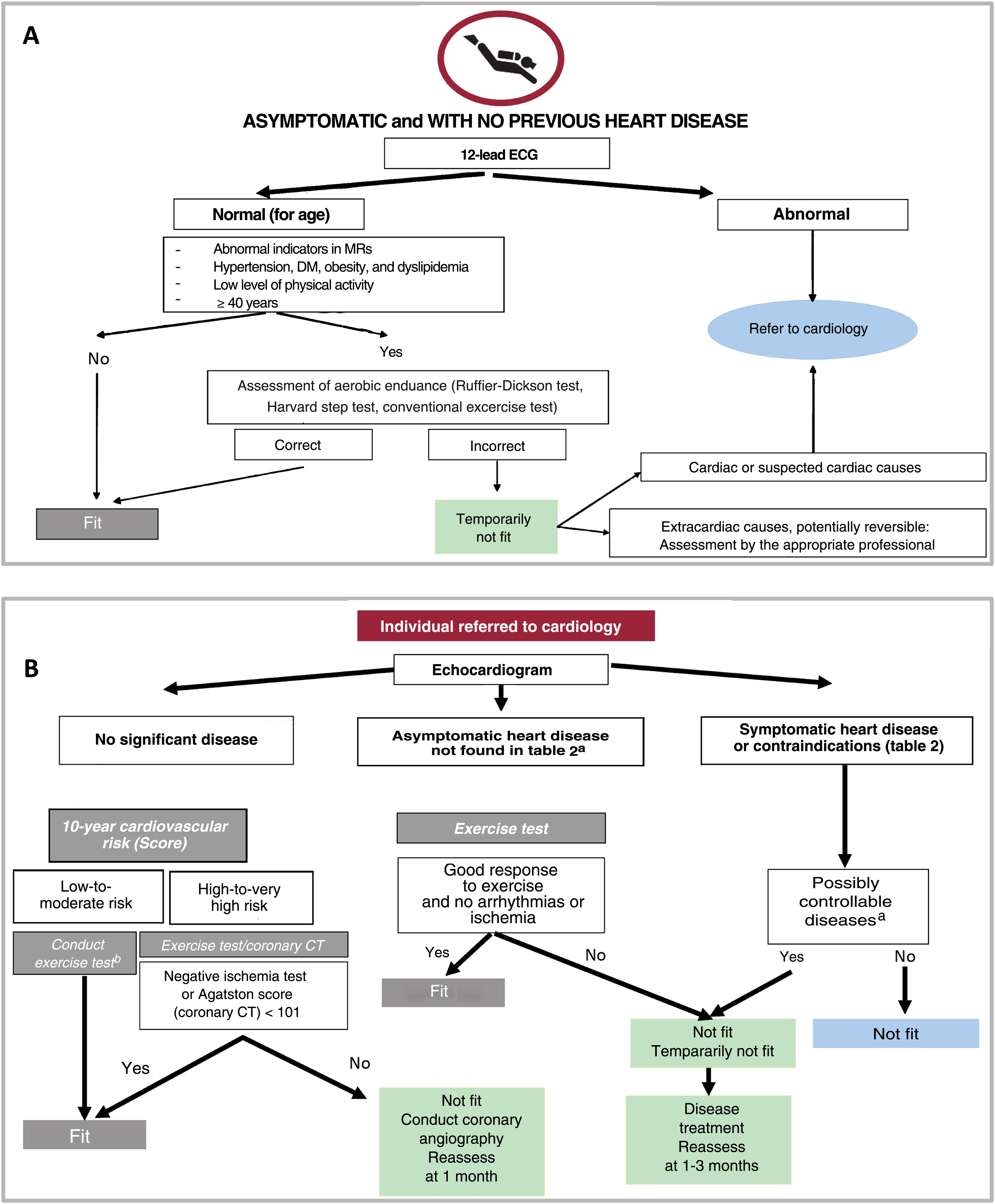 Cardiovascular considerations on recreational scuba diving. SEC ...