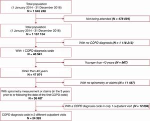 Patient selection from the BIG-PAC database. COPD, chronic obstructive pulmonary disease.