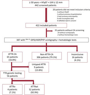 Study participants. ATTR, transthyretin amyloidosis; ATTR-CA, patients with confirmed diagnosis of ATTR-CA; ATTRv, hereditary transthyretin amyloidosis; ATTRwt, wild-type transthyretin amyloidosis; HFpEF, heart failure with preserved ejection fraction; LVH, left ventricular hypertrophy; Non-ATTR-CA, patients with HFpEF in which ATTR-CA was ruled out; TTR, transthyretin.