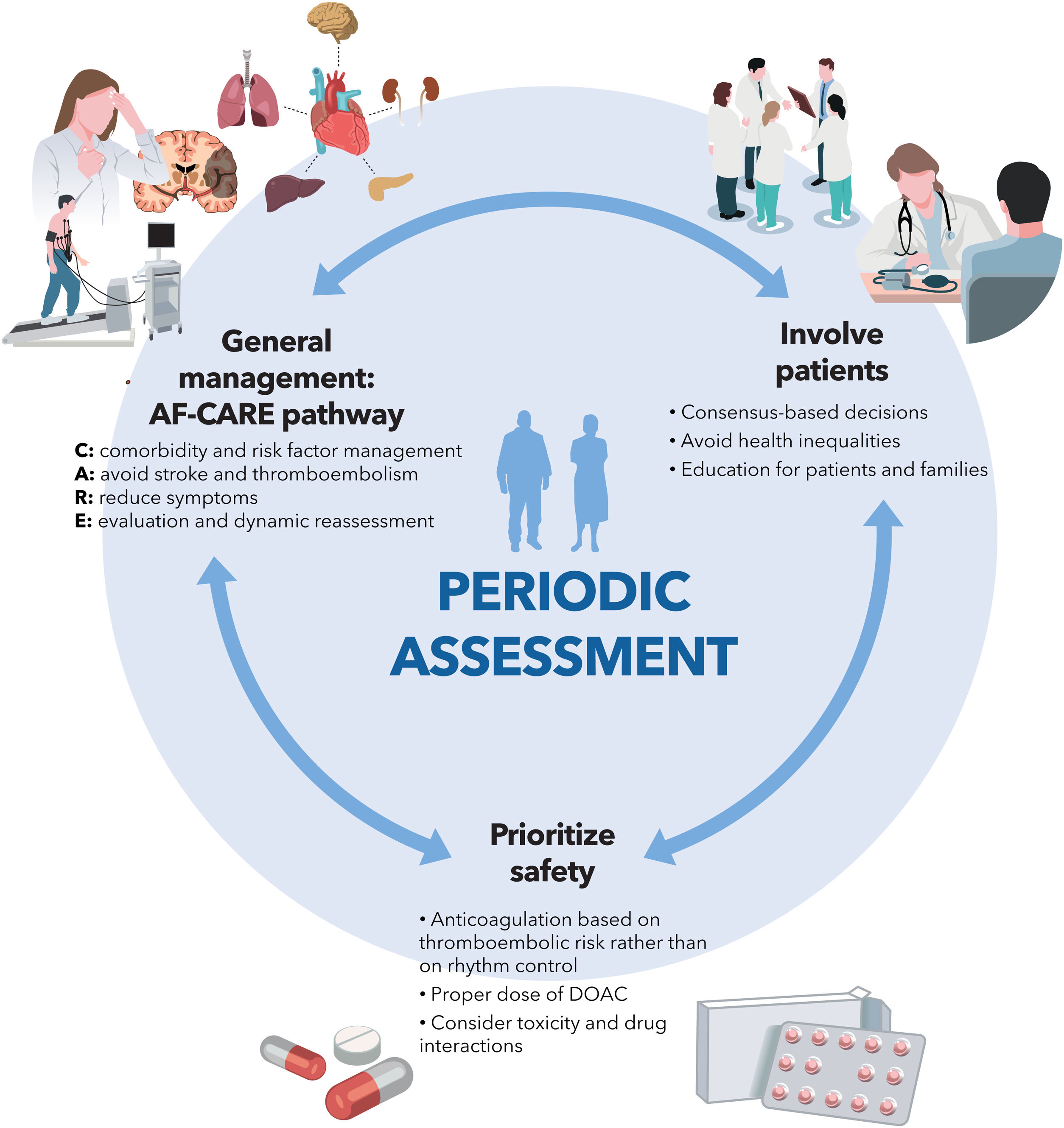 Afib Algorithm Pathway Comments on the 2024 ESC guidelines for the management of atrial ...
