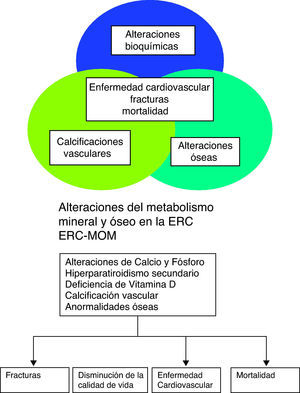 Alteraciones de la enfermedad mineral y osea en relación con la ERC.