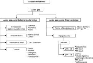 Diagnóstico diferencial de la acidosis metabólica. Algoritmo AM.