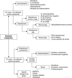 Diagnóstico diferencial de la alcalosis metabólica. Algoritmo AlcM.