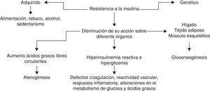 Tomado de Barrera et al2.