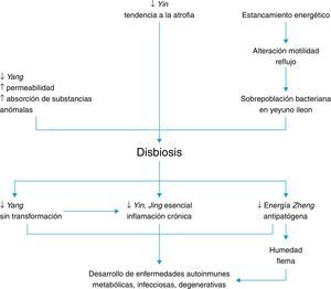 Resumen de la ruta fisiopatológica sinomédica para el desarrollo de disbiosis y las alteraciones que esta produce.