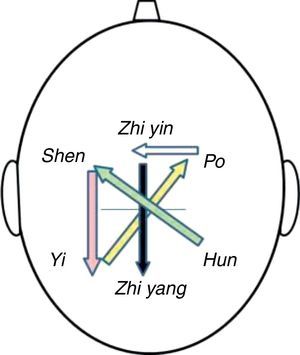 Se muestran las bandas y el sentido de punción de las agujas en cada caso, iniciando en la banda Hun-Shen. Modificado de González26.