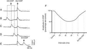 Inhibición del primer componente negativo del potencial del dorso de la médula espinal (N1-CDP) producido por el estímulo eléctrico del nervio sural (SU-CDP) y registrado en el segmento espinal L6 antes de la EA (A) durante la EA de 2Hz en Zusanli (E 36) y Sanyinjiao (BP 6), 70ms, previo al estímulo de prueba aplicado al nervio sural (B), 40ms (C), 20ms (D), y 30ms después de la respuesta N1-CDP producida por el nervio sural (E). Representación gráfica del porcentaje de reducción de la amplitud del componente N1-CDP durante la estimulación con EA. 30-PSU-CDP: 30ms posterior al componente N1 del CDP producido por el estímulo eléctrico del nervio sural; CDP: cord dorsum potential; EA: electroacupuntura. Adaptada de Quiroz-González et al., 201411.