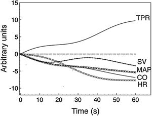 Summary of the effects of acupuncture in Heart auricular point. SVR= systemic vascular resistance, SV= stroke volume, MAP= mean auricular pressure, CO= cardiac output, HR= heart rate.