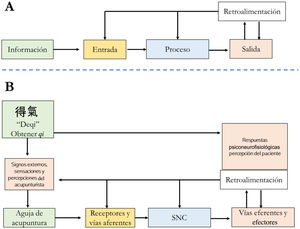 A) Muestra los elementos de un sistema: entrada, proceso, salida y retroalimentación. B) Panorama general de la disposición de los elementos que integran el biocircuito del deqi y su relación con el carácter tradicional. SNC: sistema nervioso central.