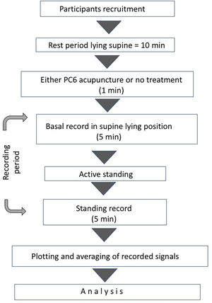 Flowchart of the study.