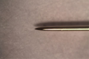 Imagen de la aguja para acupuntura de la marca Dong Bang, de 0,15 mm de diámetro. Fotografía 40×.