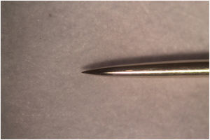 Imagen de la aguja para acupuntura de la marca DBC, de 0,25 mm de diámetro. Fotografía 40×.