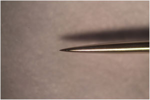 Imagen de la aguja para acupuntura de la marca C&D, de 0,25 mm de diámetro. Fotografía 40×.