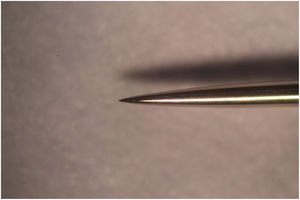 Imagen de la aguja para acupuntura de la marca C&D, de 0,25 mm de diámetro. Fotografía 40×.