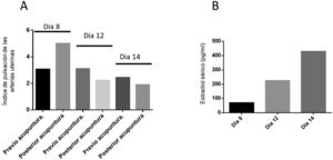 A) Efecto de la acupuntura sobre el índice de pulsación de las arterias uterinas a los 8, 12 y 14 días de tratamiento. B) Representación gráfica de los resultados de estradiol sérico en los mismos días de tratamiento.