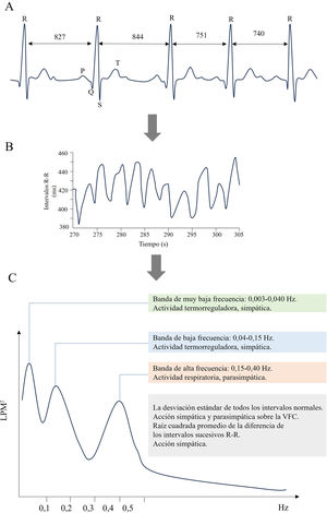 A) Ilustración de un trazo de un electrocardiograma con intervalos R-R (en milisegundos). B) Tacograma formado por los intervalos de la serie de tiempo de los intervalos R-R. C) Dominios de frecuencia y dominios de tiempo de la variabilidad de la frecuencia cardíaca (VFC).