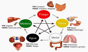 Teoría de los 5 elementos. Modificada de Google imágenes.