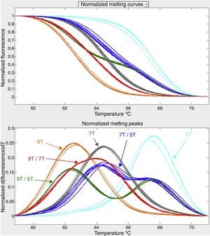 Perfil de HRM del extremo 3′ del intrón 9 del gen CFTR. Utilizando un oligonucleótido de 5 timinas como sonda, y después de amplificar por PCR el exón 10 y zonas contiguas de los intrones 9 y 10 del gen CFTR, se analizaron por HRM 23 ADN de individuos portadores de distintas variantes del polimorfismo 9T/7T/5T localizado en el extremo 3′ del intrón 9 del gen CFTR. Se puede observar que la técnica discrimina entre las distintas variantes, tanto en homocigosis como en heterocigosis.