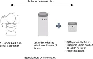 Indicaciones para la recogida de la muestra de orina de 24h.