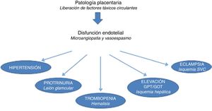 Fisiopatología de la preeclampsia.