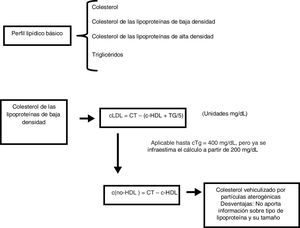 Perfil lipídico básico para el diagnóstico de una dislipidemia. CT: concentración plasmática de colesterol; cLDL: concentración de colesterol asociado a las lipoproteínas de baja densidad; TG: concentración de triglicéridos.