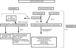 Propuesta para el diagnóstico de las hipercolesterolemias primarias en el laboratorio clínico. DCLN: criterios Duth Lipid Clinic Network. a Recomendaciones para el diagnóstico de las hipercolesterolemias monogénicas (recomendación, 2014). Comisión de lipoproteínas y enfermedades vasculares.