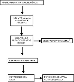 Propuesta para el diagnóstico de las hiperlipidemias mixtas monogénicas en el laboratorio clínico. aRecomendaciones para el diagnóstico de la disbetalipoproteinemia (2006). Comisión de lipoproteínas y enfermedades vasculares.