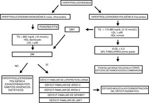 Propuesta para el diagnóstico de las hipertrigliceridemias primarias en el laboratorio clínico. QM: presencia de quilomicrones; TG: concentración plasmática de triglicéridos.