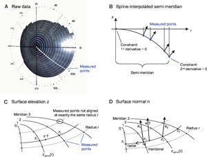 Spline-based interpolation method for corneal topography data to obtain surface elevation data and normals at any generic position. A. The points for which raw elevation readings are provided by a topography device are distributed at discrete positions along meridians. B. A functional cubic spline interpolation is done for each semi-meridian. By using these functional representations of the semi-meridians, the C. Surface elevation and D. Surface normals are calculated.