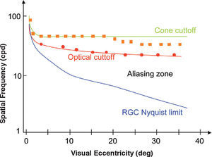 Optical and neural limits to pattern detection and pattern resolution across the visual field in humans. Red curve: optical cut-off of the eye. Green curve: computed detection limit of individual. Blue line: computed Nyquist limit of retinal ganglion cells. Symbols indicate experimental thresholds for a contrast detection task for natural viewing conditions (squares) and for measurements carried out by by-passing the eye's optics using an interferometric method (circles). Experimental thresholds for a pattern resolution task would lie on the blue line both in natural and interferometric conditions (not shown). The aliasing zone extends from the resolution limit to the detection limit in natural viewing conditions.