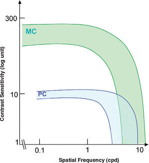 Variability of the spatial contrast sensitivity for magnocellular (MC) and parvocellular (PC) cells of the macaque monkey.