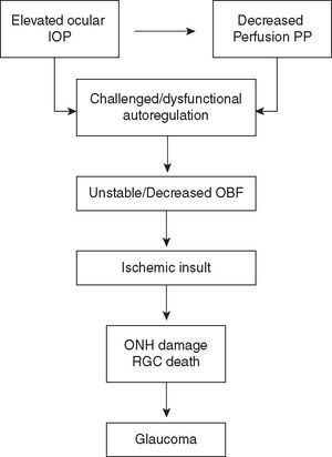 Schematic representation of the contribution of autoregulation dysfunction to glaucomatous damage in association to elevated IOP. IOP: intraocular pressure; PP: perfusion pressure; OBF: ocular blood flow; ONH: optic nerve head; RGC: retinal ganglion cell.