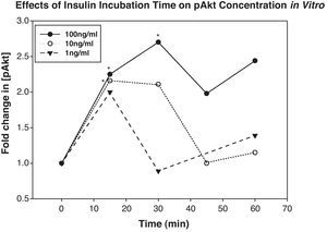 Incubation of retinas with 100ng/mL of insulin significantly elevated their expression of retinal pAkt above controls 15 and 30min later (p<0.04 and 0.01, respectively). Similarly, 10ng/mL of insulin significantly elevated retinal pAkt expression after 15min (p<0.01). Asterisks indicate points that were significantly different than baseline.