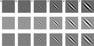 Normalized intensity map of Gabor functions with parameters (xc, yc)=(0, 0), γ=0.5, b=1.0 octave (σ/λ=0.56), θ=π/4, ψ=0 (first row), ψ=π (second row), ψ=π/2 (third row) and (a) λ=10 pixels, (b) λ=20 pixels, (c) λ=30 pixels, (d) λ=40 pixels, (e) λ=50 pixels, and (f) λ=60 pixels on 256×256 pixels grid, which model the receptive field profile of a simple visual cell. Gray levels which are lighter and darker than the background indicate zones in which the function takes positive and negative values, respectively.