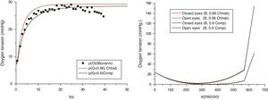 (Left) Representative results for the tear-film oxygen tension after 5min of CE lens wear and (right): the steady state oxygen tension profile through cornea thickness. Red color is the fit to Bonanno data proposed by Chhabra et al.2 Black color corresponds to our best fit to same data. Symbols are from Bonanno et al.,1 when the system is composed by cornea+Polymacon1 lens.