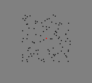View of the visual stimulus for both configurations. In both configurations the visual stimulus was shown for 3000ms. The screen is gray and in the center is the red fixation dot. Around the fixation dot there are 100 black dots which are moving in partly random directions.