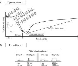 Top: schematic representation of a pupil response profile and the associated pupil parameters assessed as indicated by the open circles. The prestimulus time is 0.5s, and the post-stimulus time is 6.0s. Bottom: schematic representation of the four experimental test stimulus conditions. The x-axis represents the relative time, and the y-axis represents the relative stimulus intensity. Dim=4lx, bright=251lx, pulse=100ms, and step=1000ms.