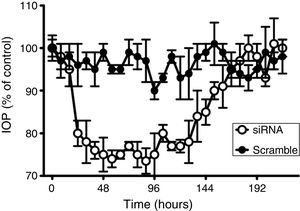 Comparative time-course of changes in intraocular pressure in response to beta2 adrenergic receptor siRNA and scramble siRNA. Effects of scramble siRNA (filled circles) and beta2 adrenergic receptor siRNA (open circles) on intraocular pressure were followed for 216h. 100% represents the intraocular pressure before the application of siRNAs which corresponded to a IOP of 15.2±1.8mm Hg. Values represent the mean±S.E.M. (n=8).