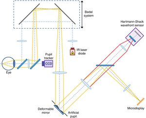Detailed scheme of the experimental system used. Yellow lines represent the path followed by visible light. Red lines represent the last section of the path followed by infrared light.