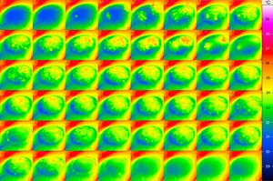 Infrared thermographic images of the left eye of patient 1 with the refraction of +0.75/3.00×165° showing the temperature distribution on the ocular surface at several time points during ablation. Time delay from one image to the next is approximately 1s.