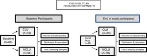 Flowchart of the study participants and procedures performed. CLU: contact lens users; NCLU: non-contact lens users.