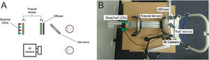 Overview of the optical system used in the study; sketch (A) and real image (B). Two Fresnel lenses, F1 and F2 (both 10.16 cm focal length and diameter), were placed at twice their focal length apart. Red and blue LEDs were placed at one end of the optical system. The subject’s dilated right eye was aligned at the other end, while the undilated left eye was recorded by the infrared camera (IR camera) attached to the computer. The diffuser had a 5 deg diffusing angle.