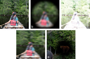 Qualitative simulation of the uncorrected visual acuity experienced by a) Normal reference; b) Homer Simpson; c) Powerpuff Girls; d) Asterix; e) Superman.